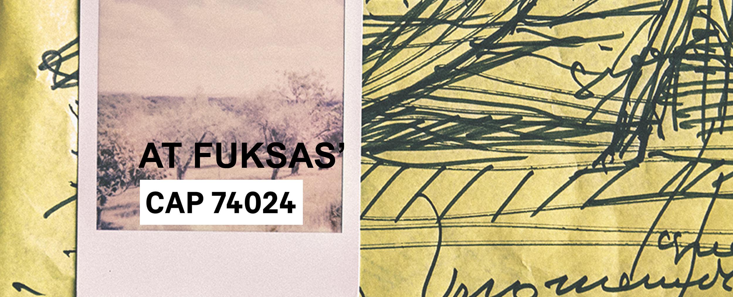 “At Fuksas' – We will dream again”, interview for CAP740242020, July 01